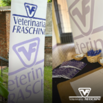 Un resumen de la charla: "Saguaype (Fasciola hepática) ¿Produce pérdidas productivas?"