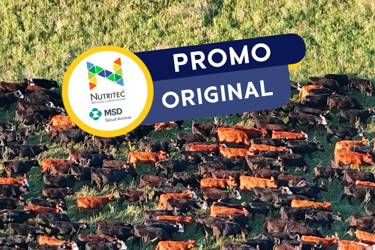 Marzo 2026: vuelve nuestra tradicional PROMO ORIGINAL